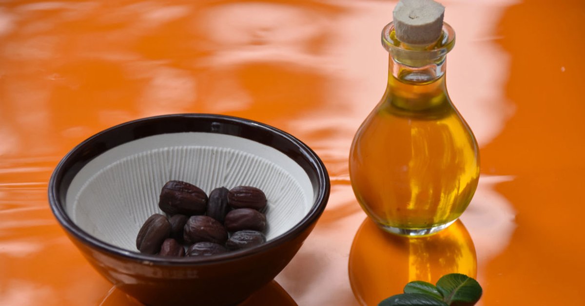 روغن جوجوبا چیست و خواص روغن جوجوبا برای پوست کدام است